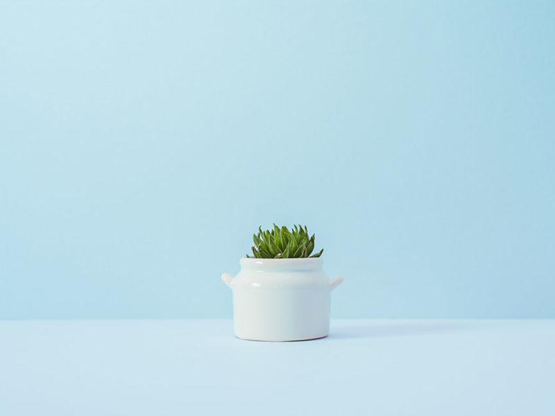 Best practices for minimalist design with example