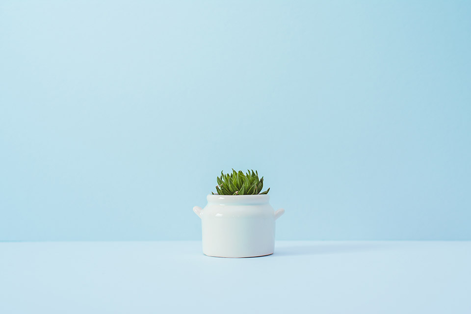 Best practices for minimalist design with example